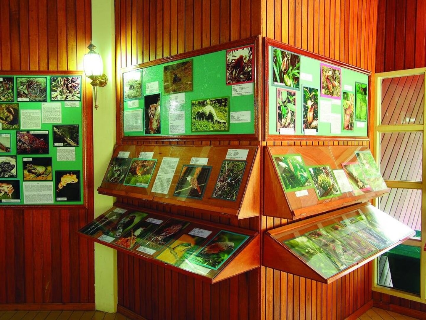 Mesilau Nature Resort