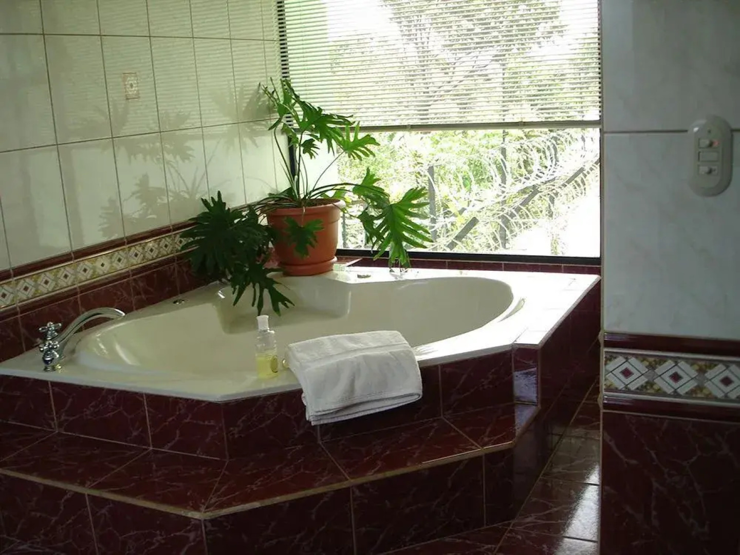 Casa Holanda Costa Rica