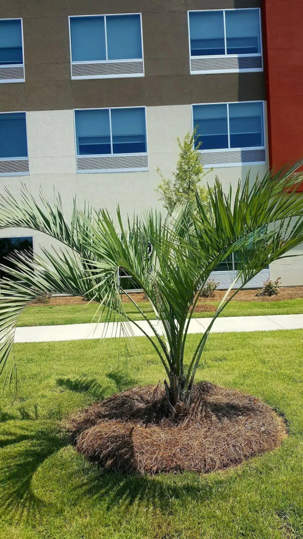 Holiday Inn Express North Augusta by IHG