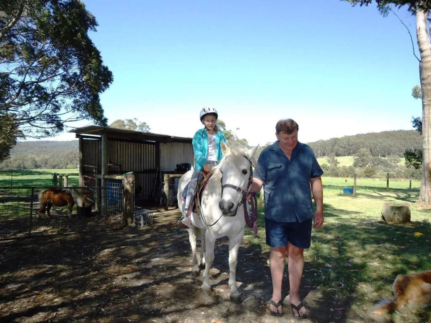 Misty Valley Country Cottages