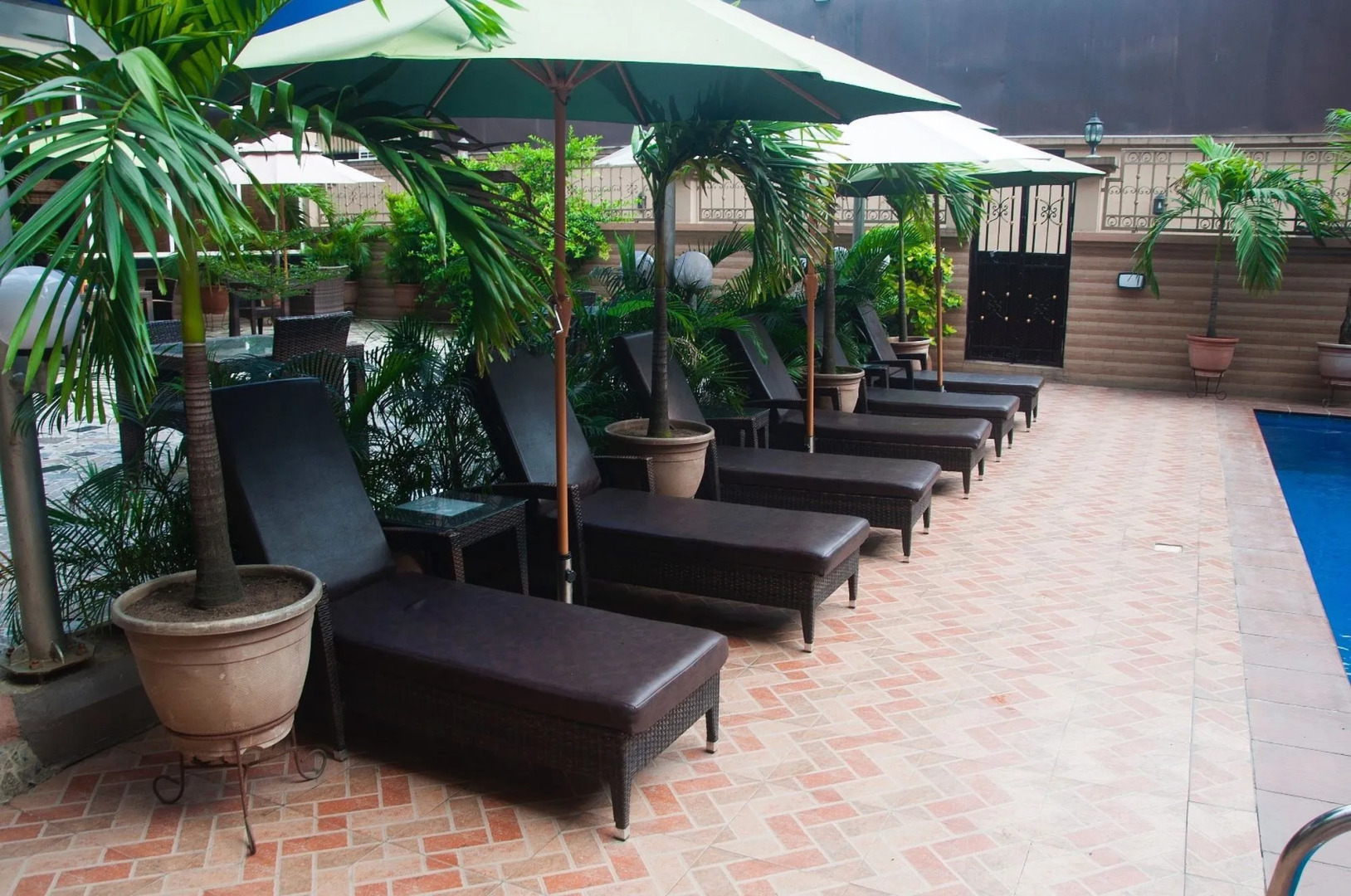 D'Palms Airport Hotel