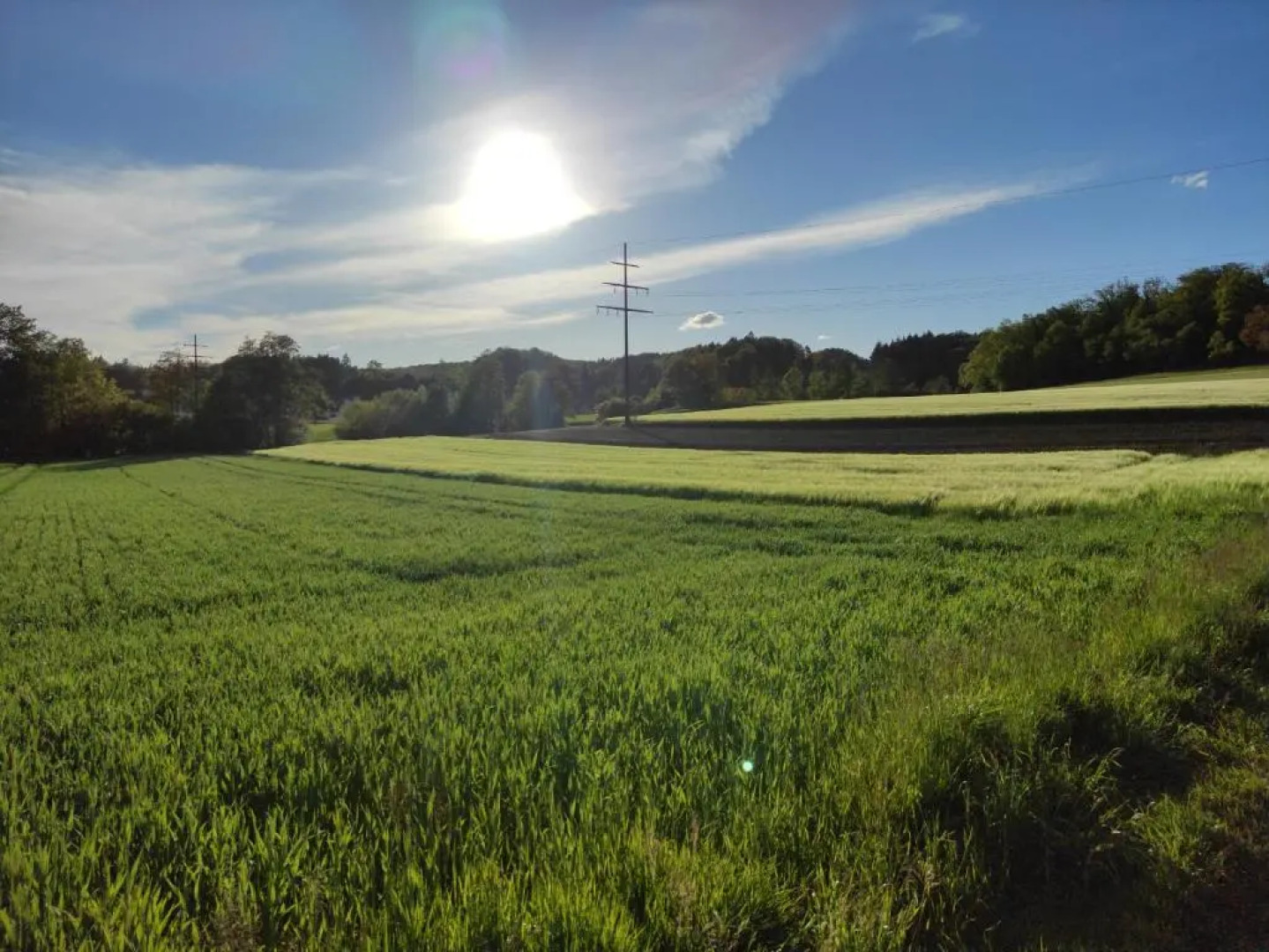 Abschalten am Albsteig in Albbruck im Süd-Schwarzwald großzügige Ferienwohnung