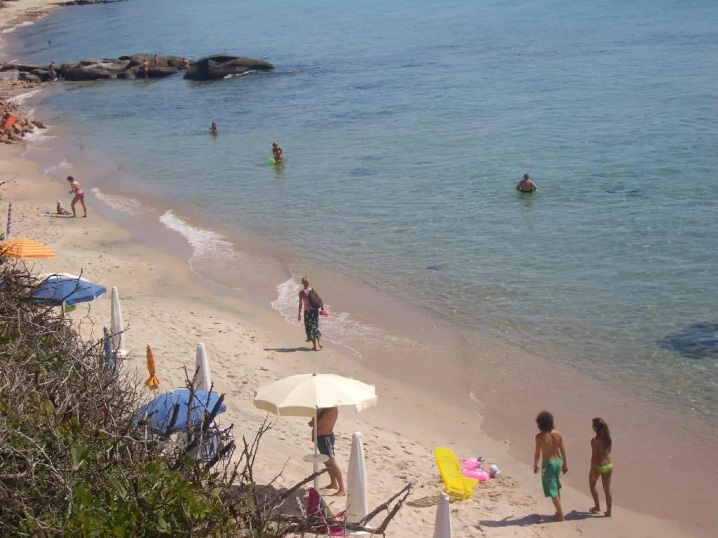 Jungle House - Pineta Is Morus