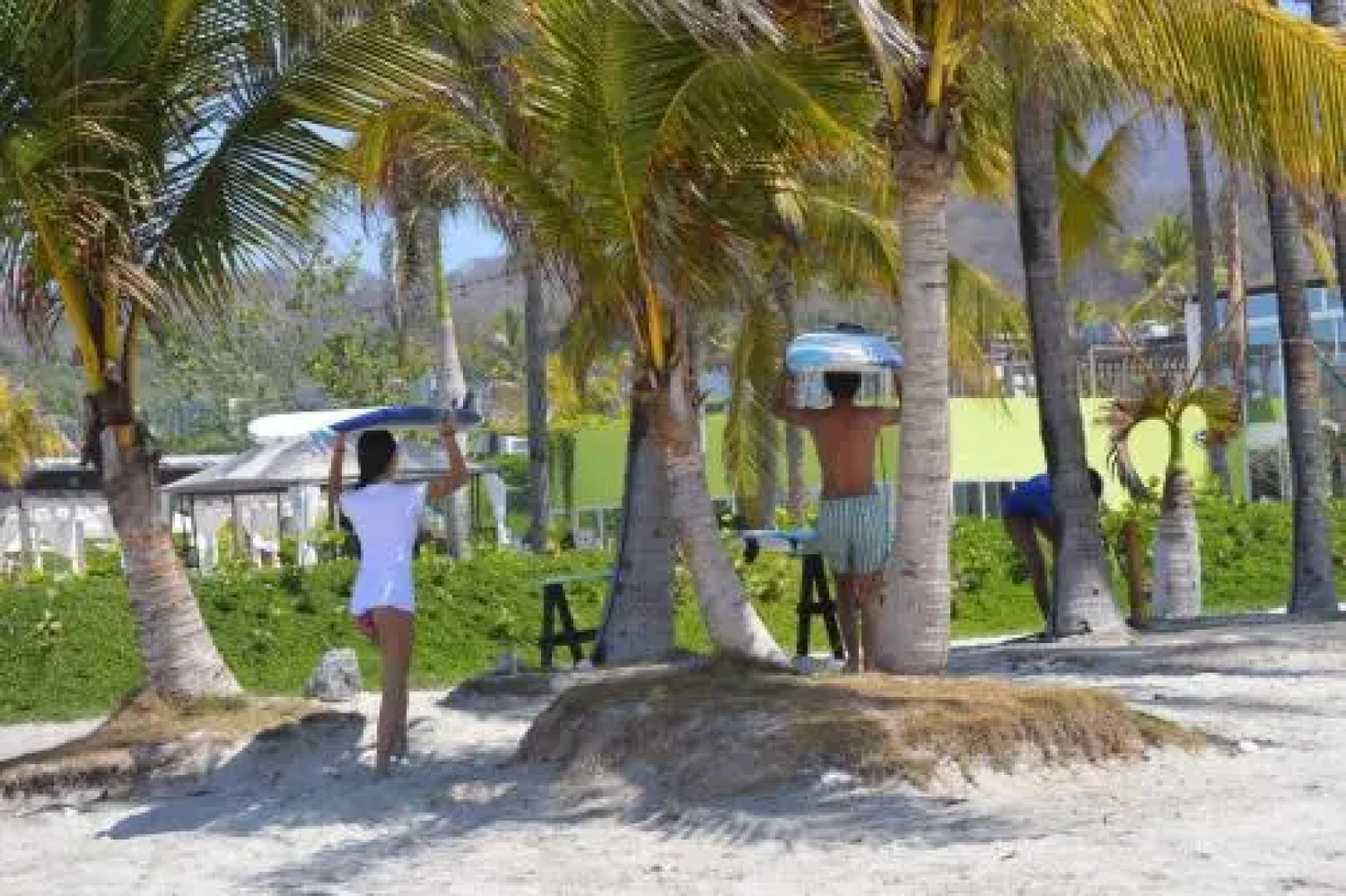 Los Veneros, Torre Agave