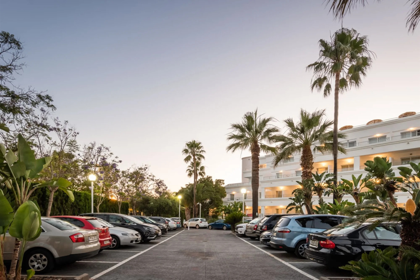 ALEGRIA Costa Ballena