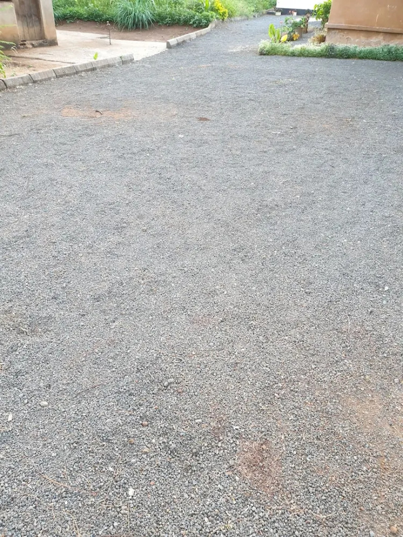 Shanty Town Doctor's Home