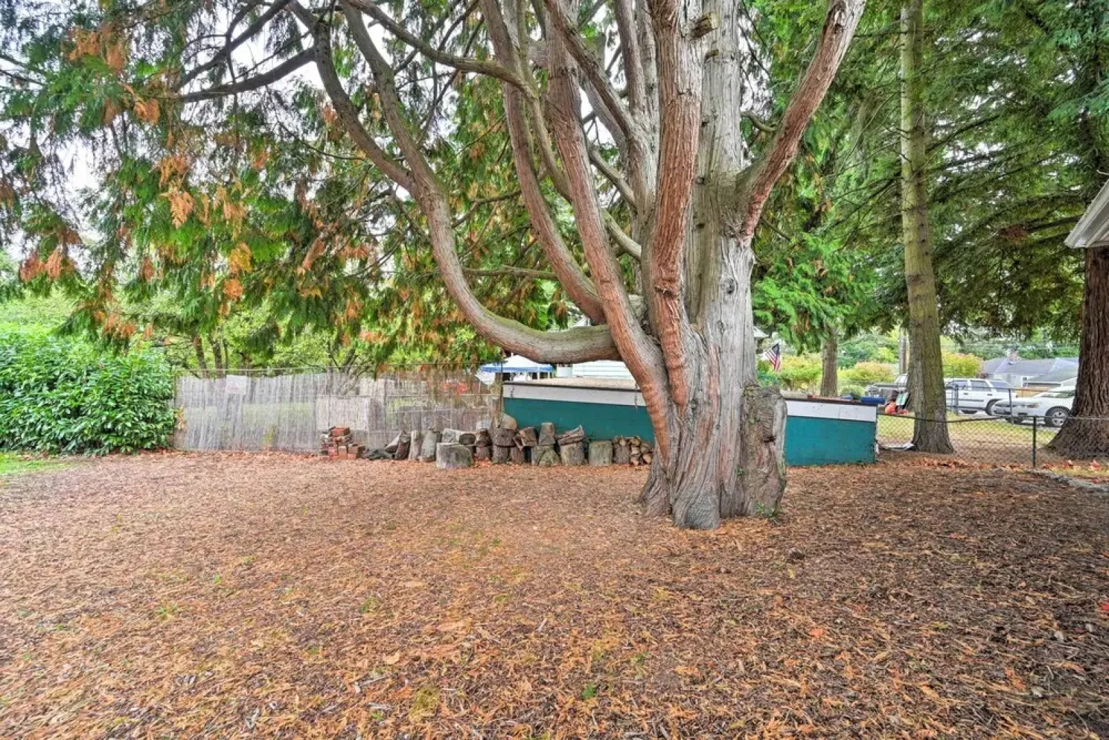 Bright Seattle Cottage w/ Private Backyard Access!