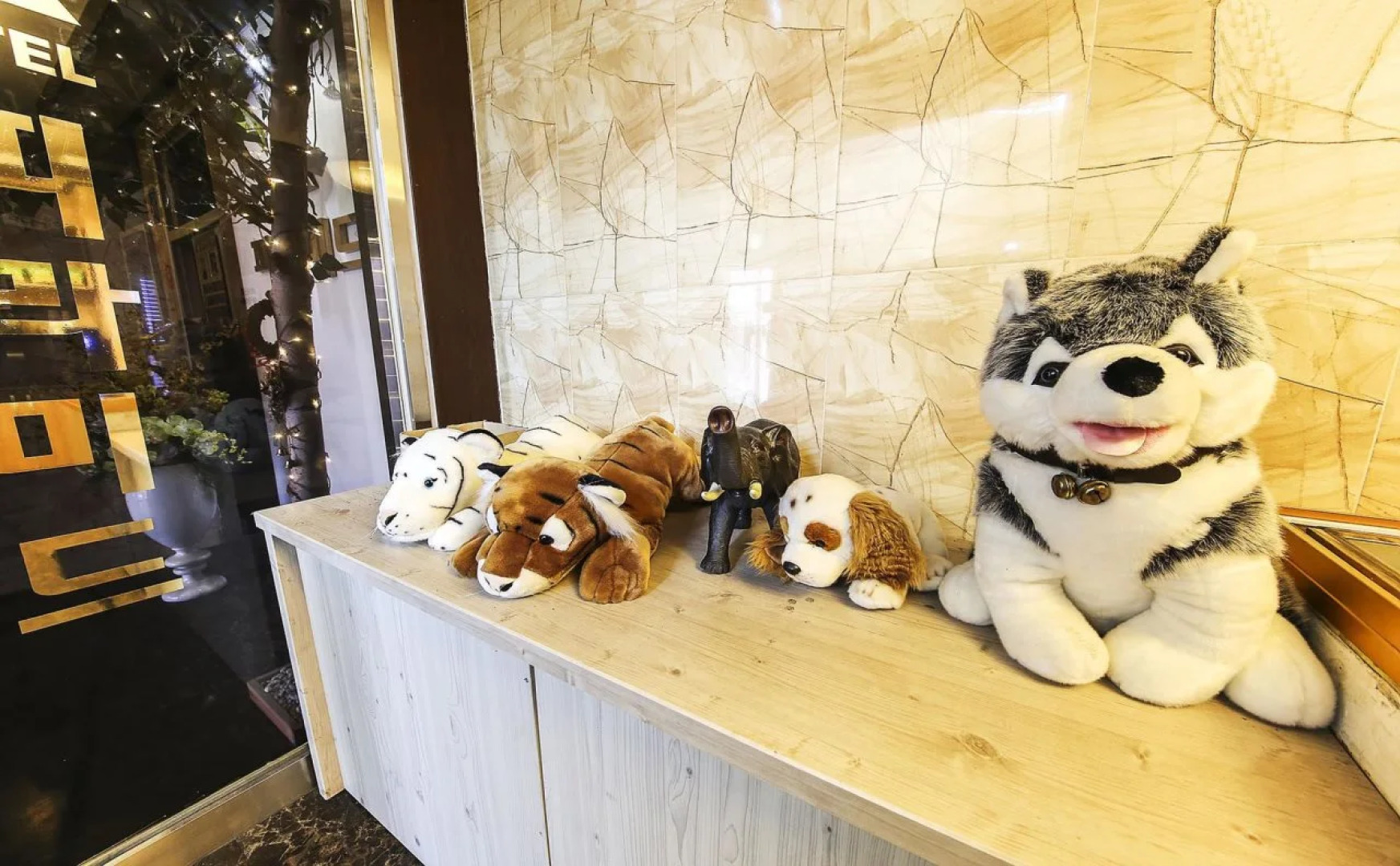 Chuncheon Hotel View