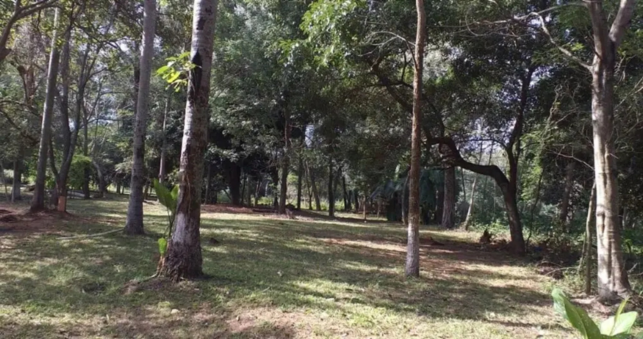 Rancho 3A