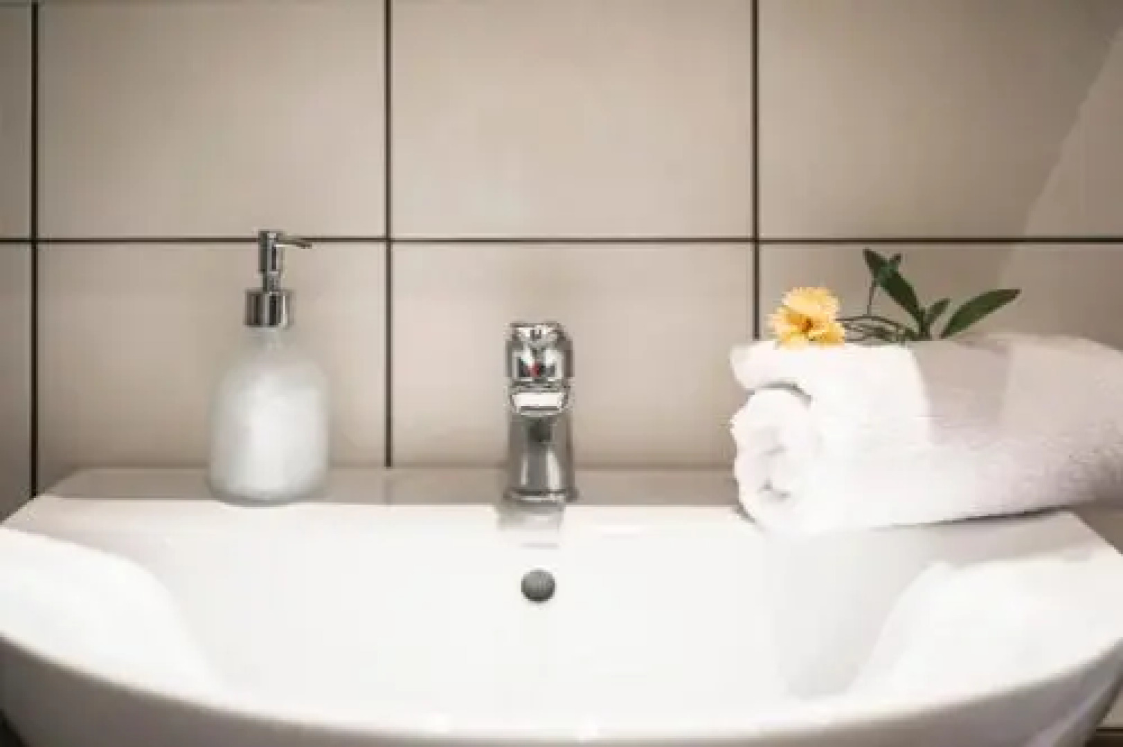 Olive Tree Apartments