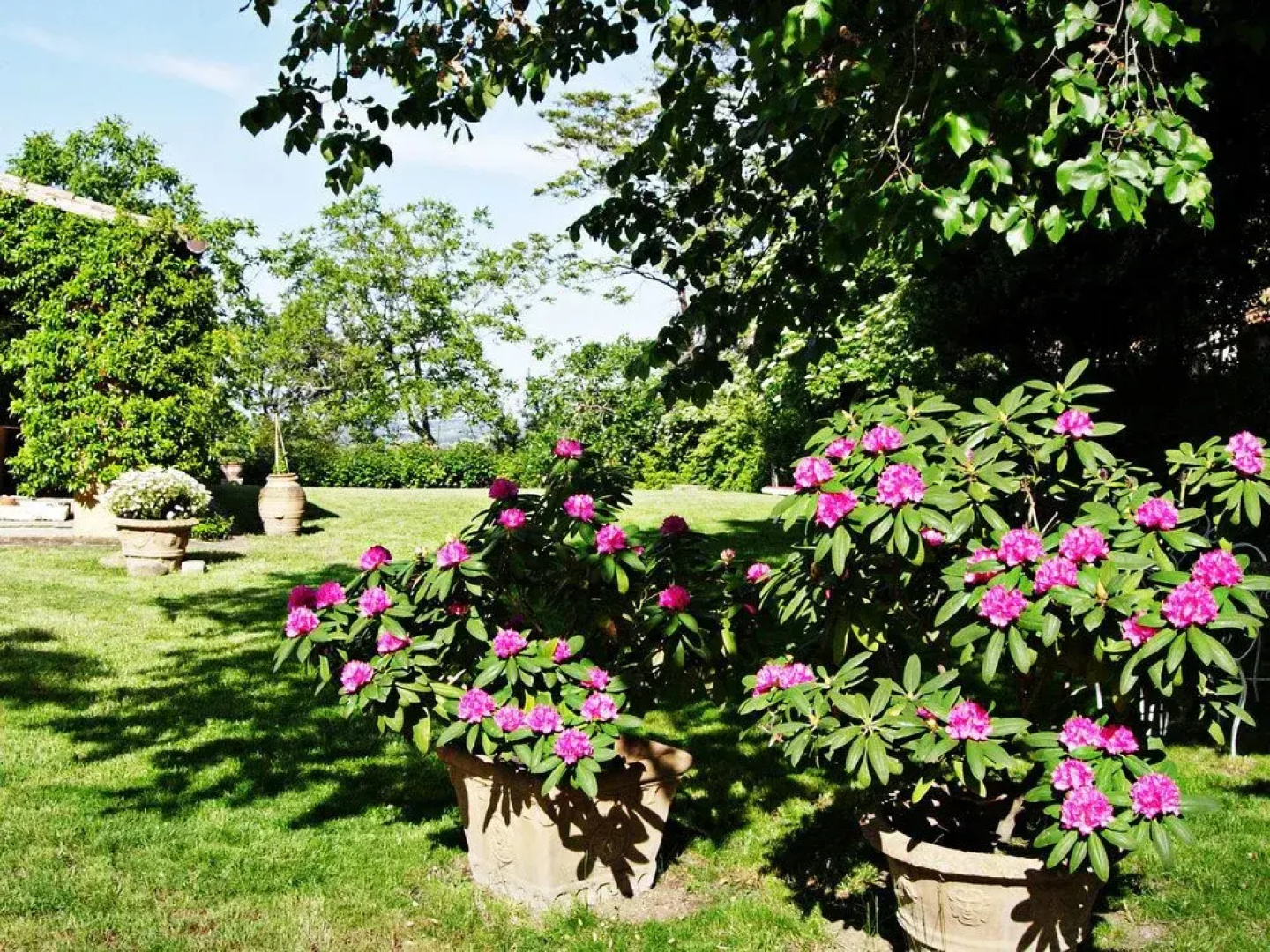 Casa Ezelina Bed and Breakfast