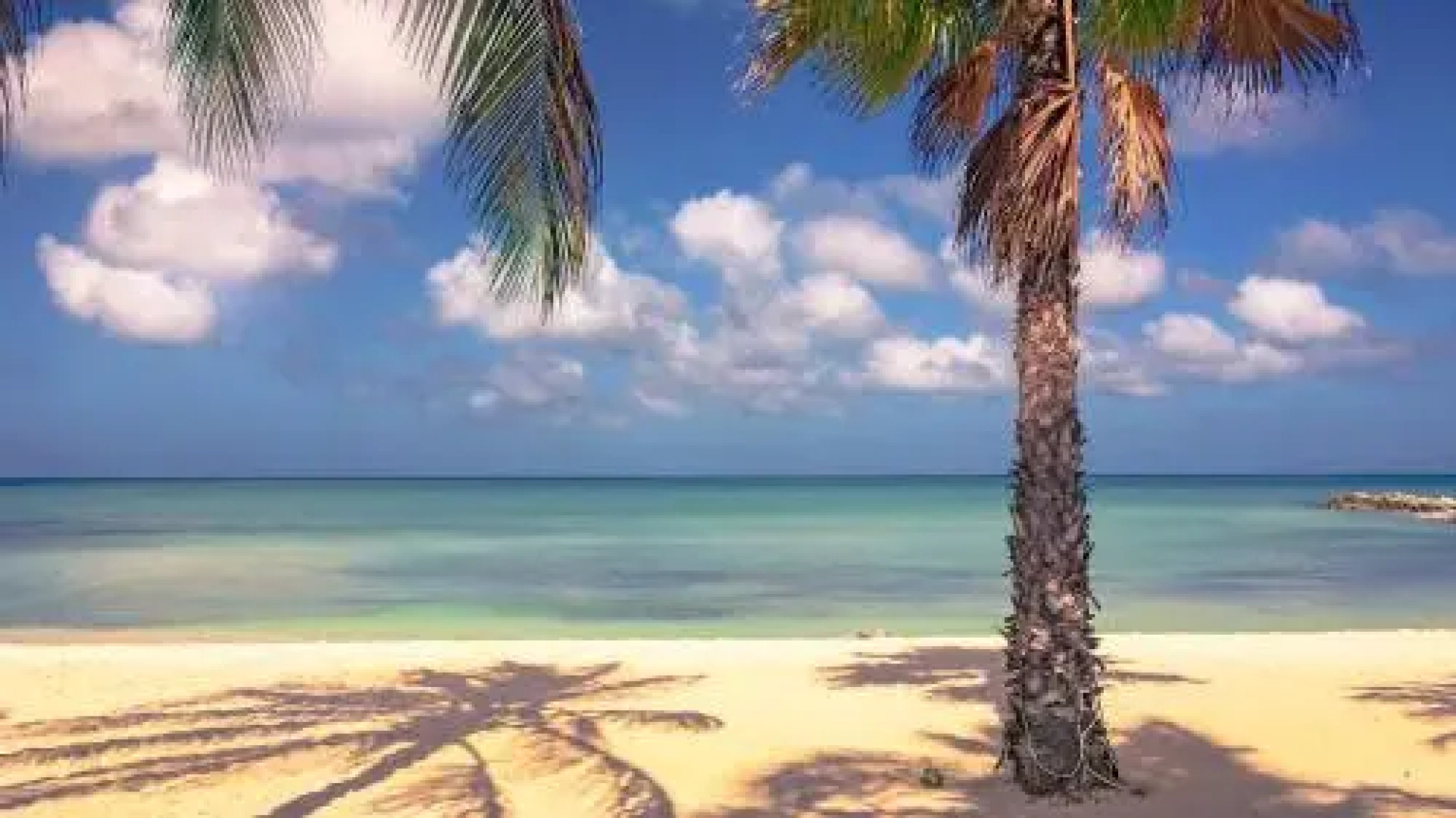 Only 350 yards from Eagle beach! Breakfast included!