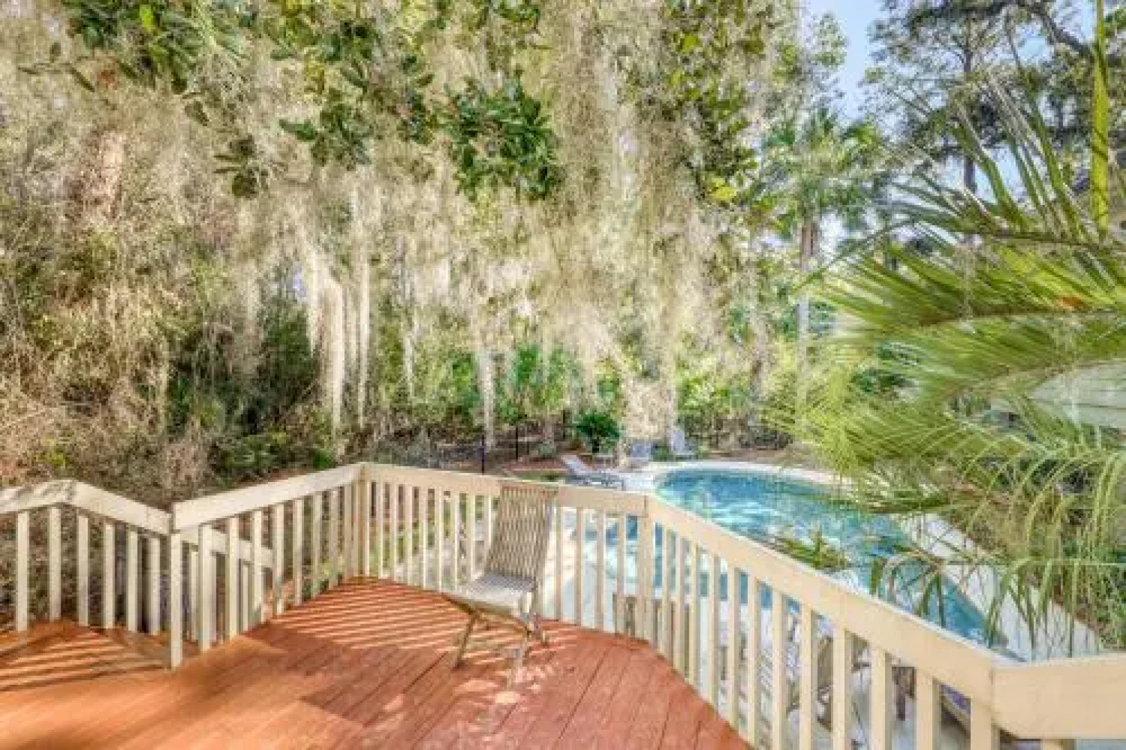 207 Belted Kingfisher