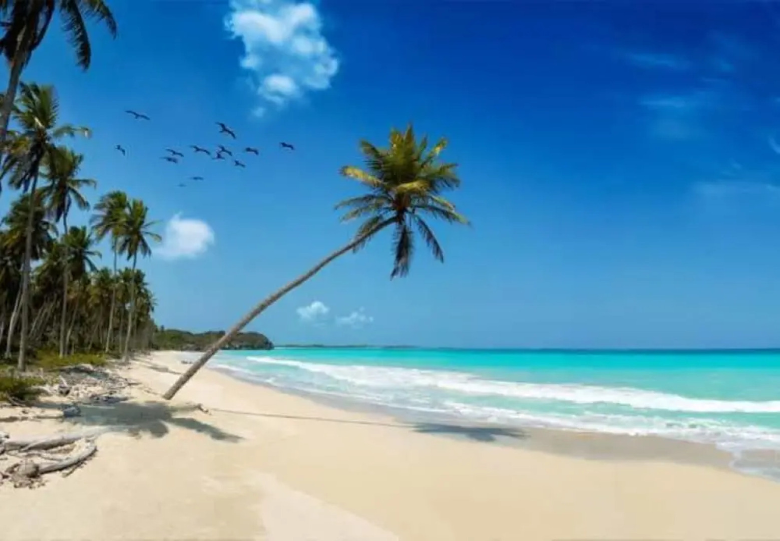 Mangro Hotel Diani Beach