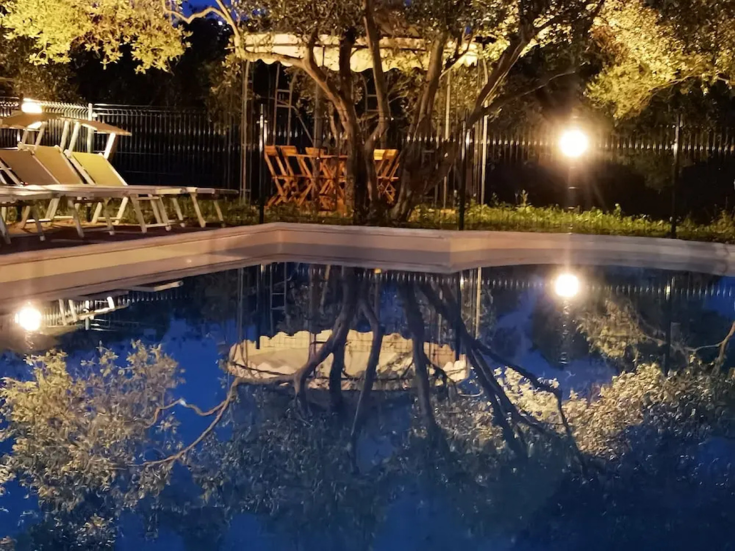 la corte degli ulivi