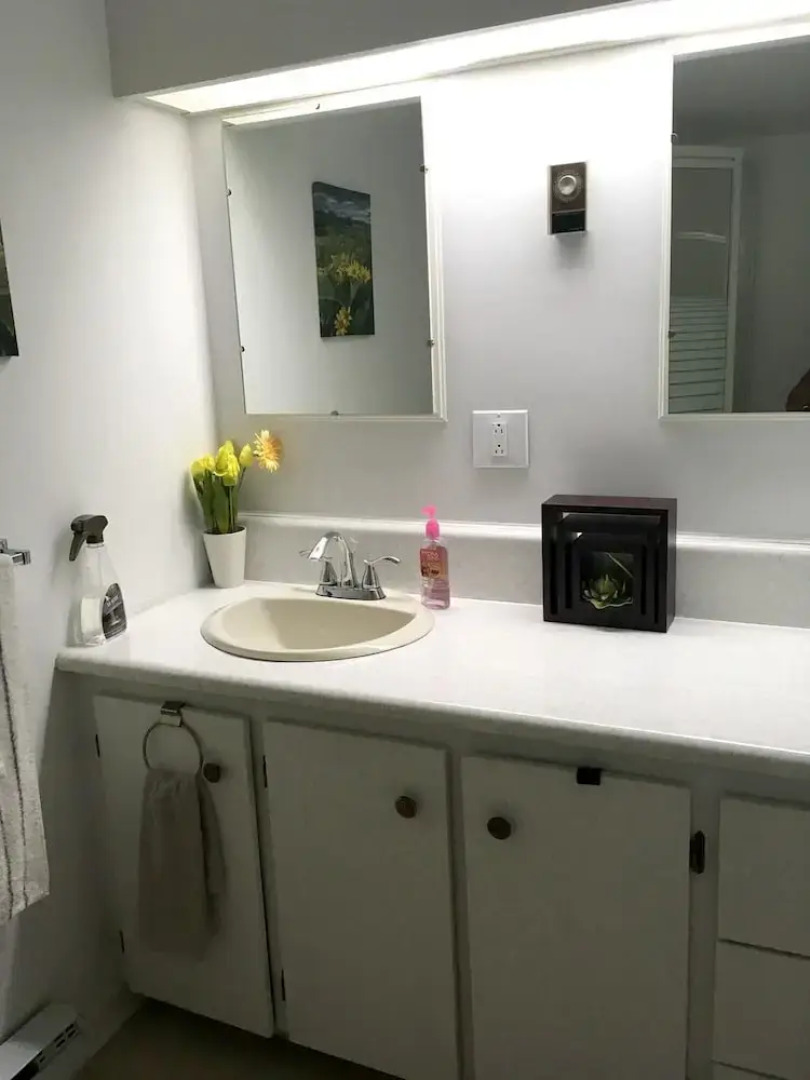 Apartment With 2 Bedrooms in Knowlton, With Wonderful Lake View, Enclosed Garden and Wifi