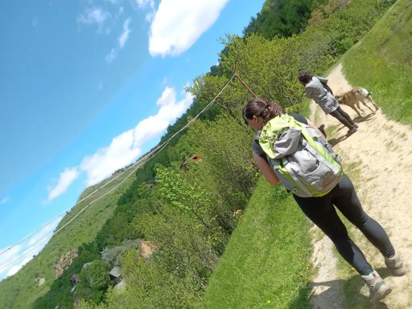 Room in Guest room - Cozy Sejour Near Forest for 2 people