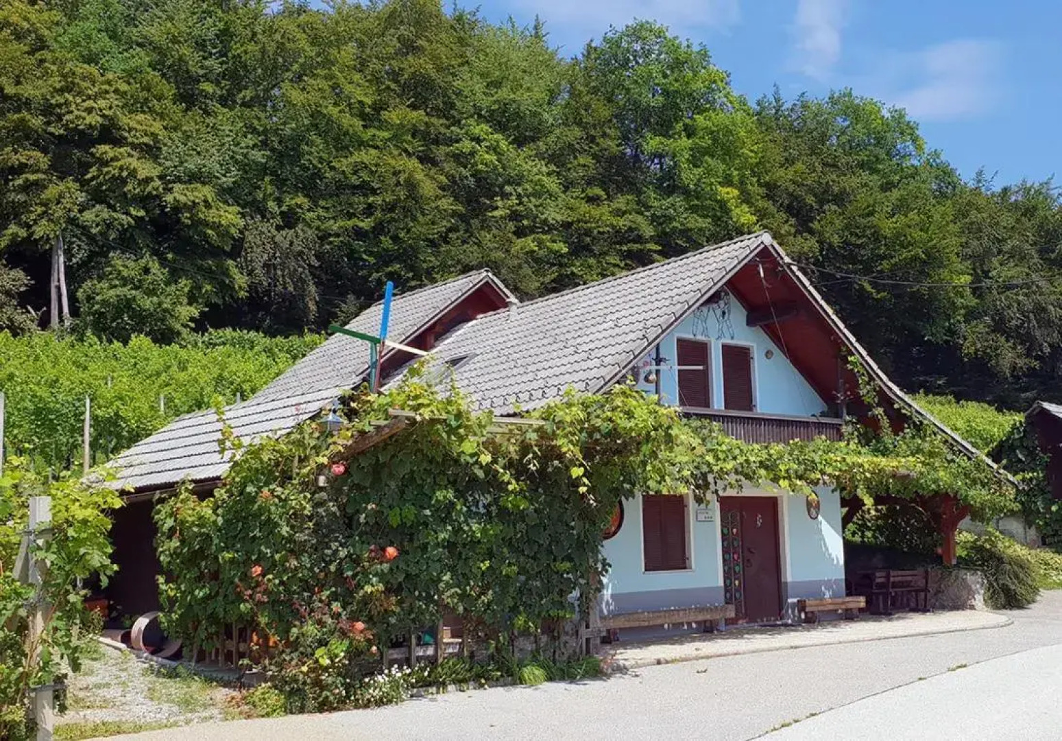 Zidanica Meglič - Vineyard cottage Meglič
