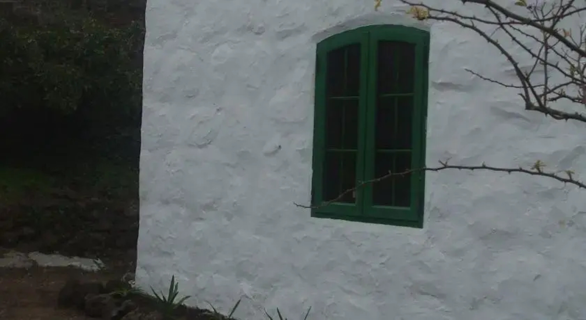 Finca Ecológica Montañon Negro