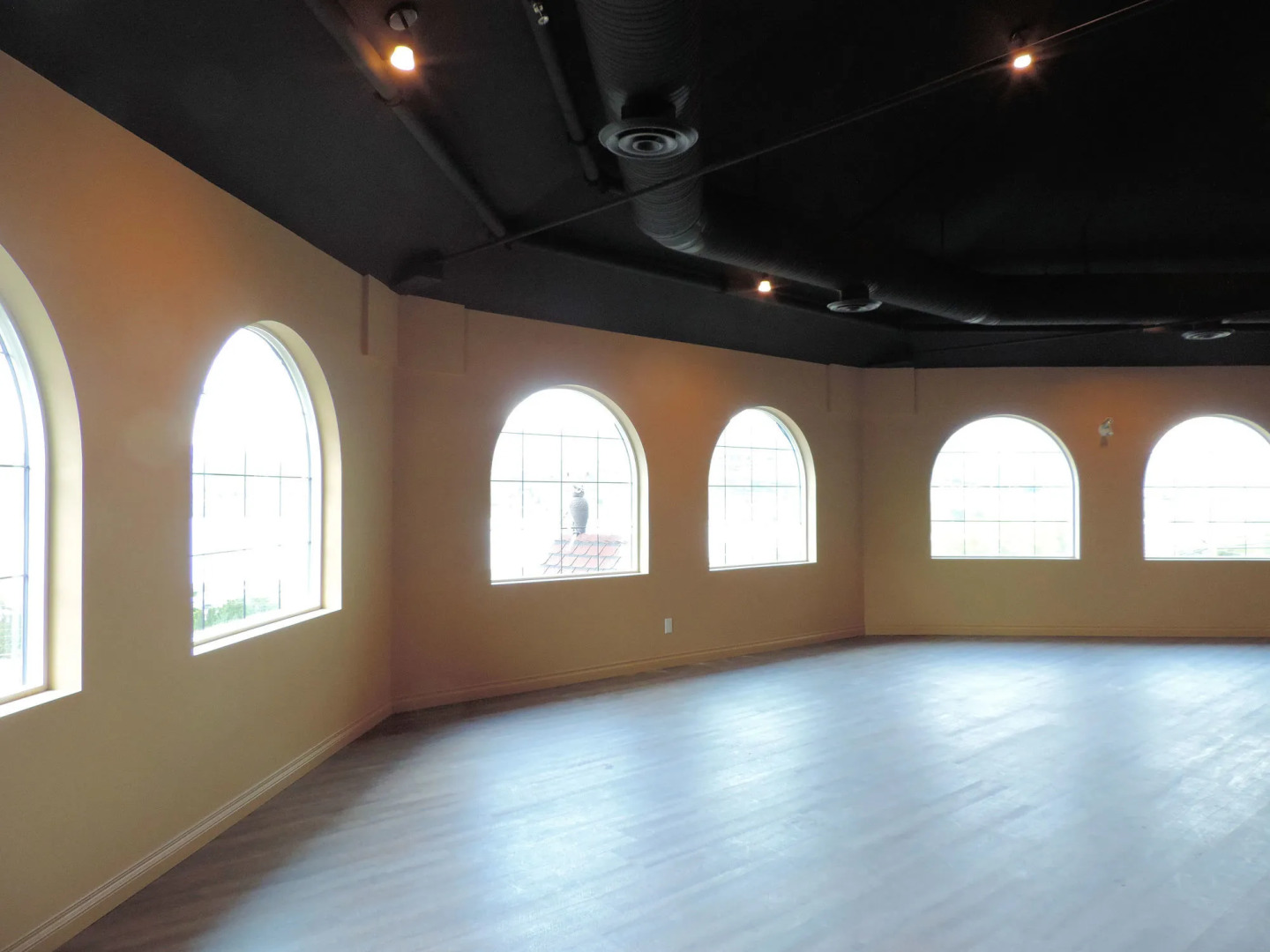 The Castle at Swan Lake