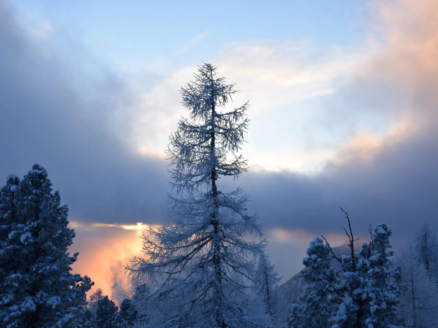 Mountain chalet 'Holzknechthütte' in Gröbming with sauna