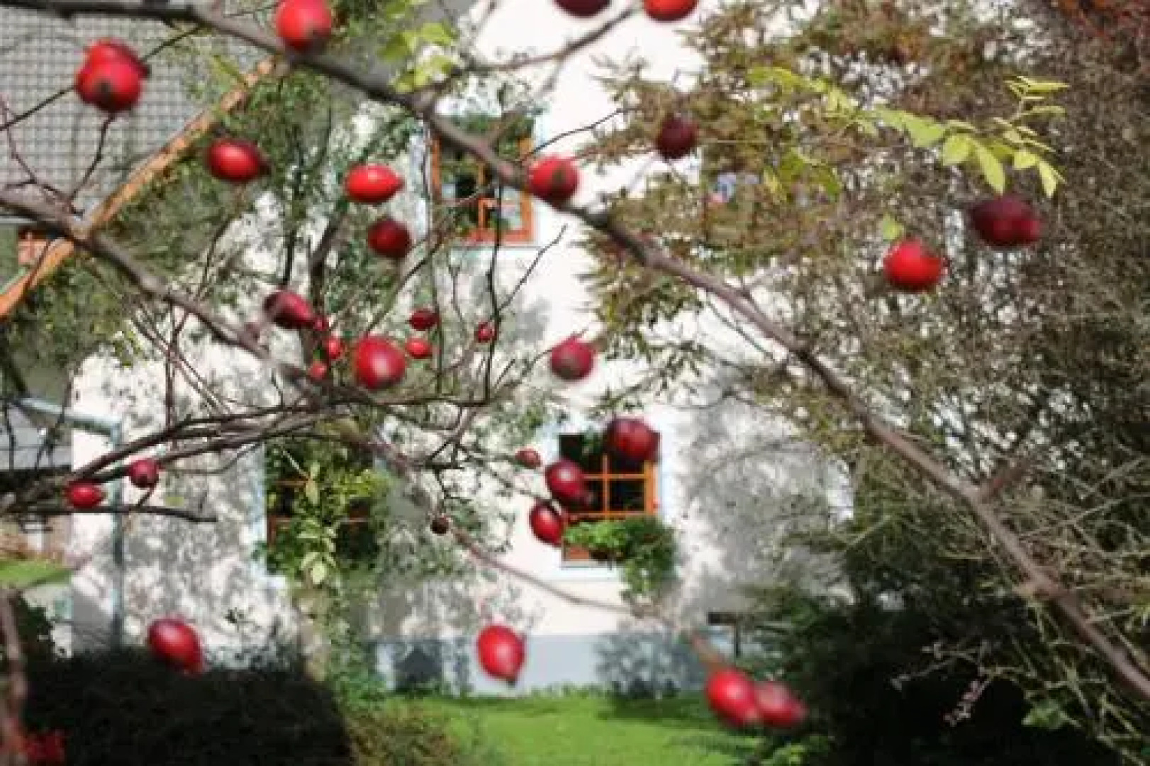 Turistična kmetija Bevšek-Ošep