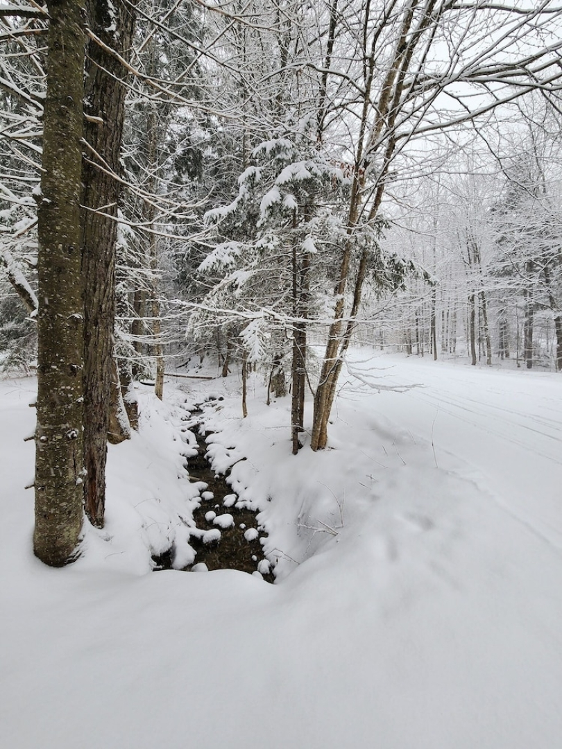 Ski in & out Spruce Glen Townhomes on Great Eastern Trail