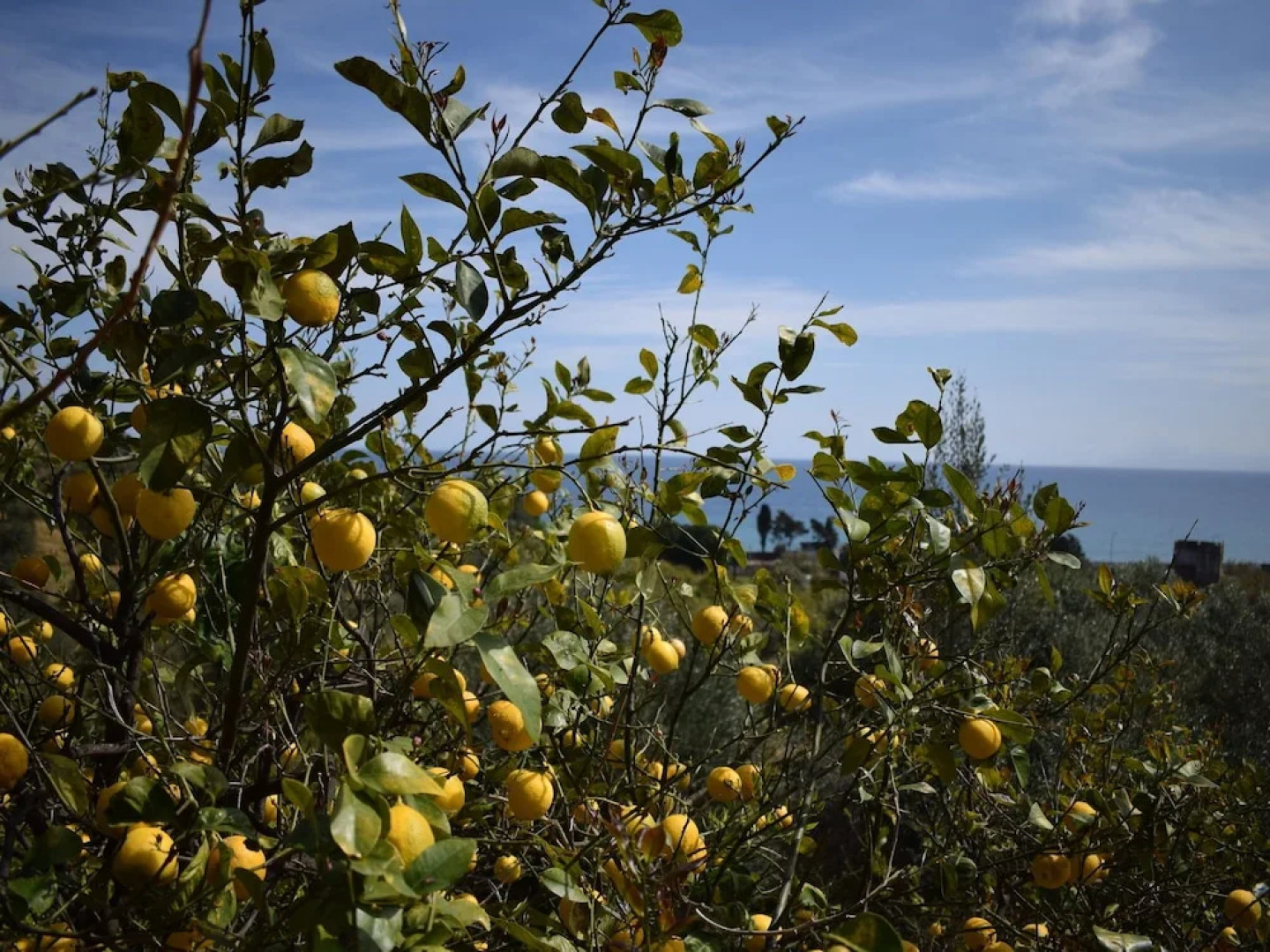 Cottage in Santa Flavia With Swimming Pool, Terrace,barbecue