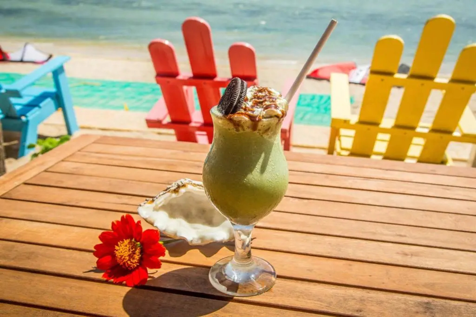 Phan rang kite center