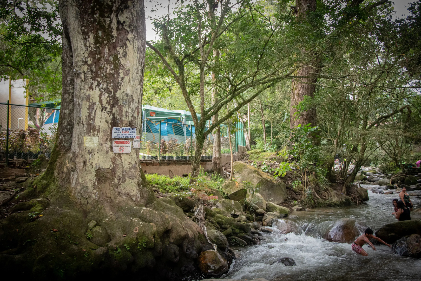 Chunuu Hostal y Glamping Minca