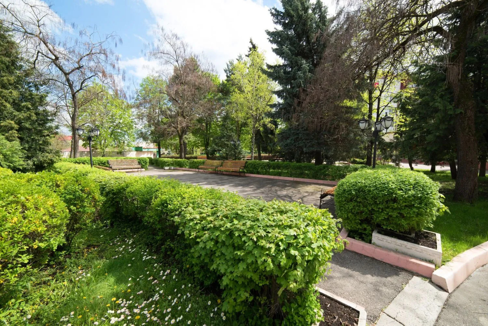 Нива (Ессентуки)