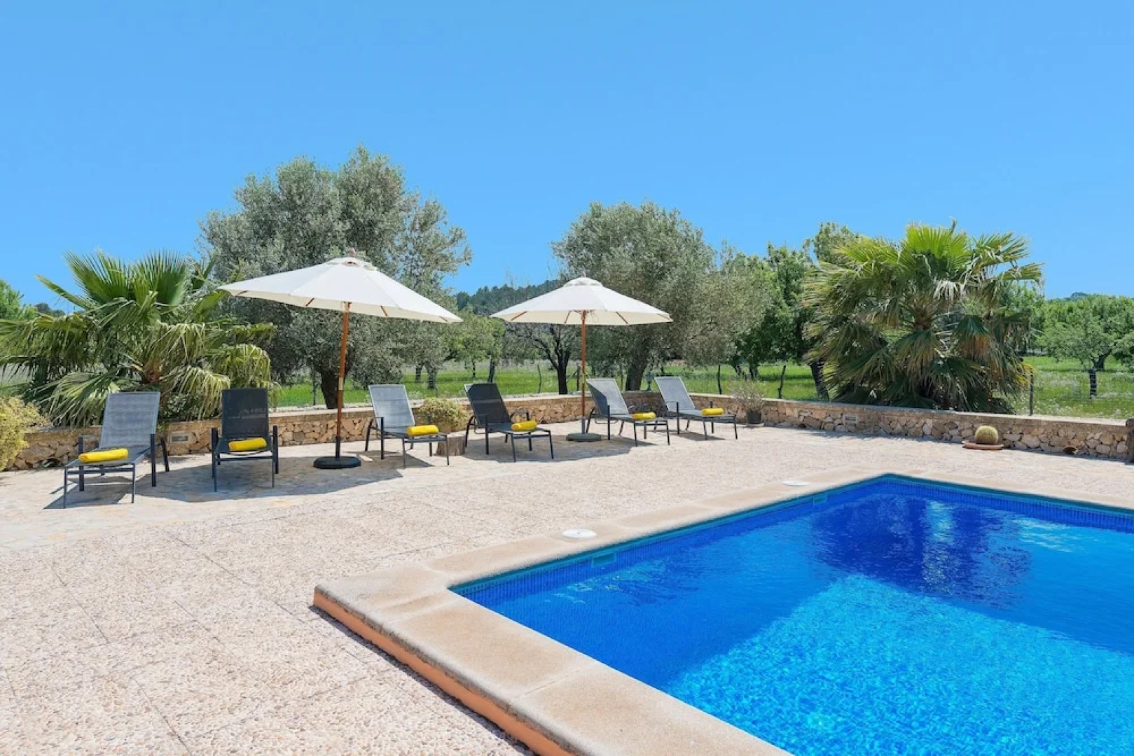 SA Parellada - Premium