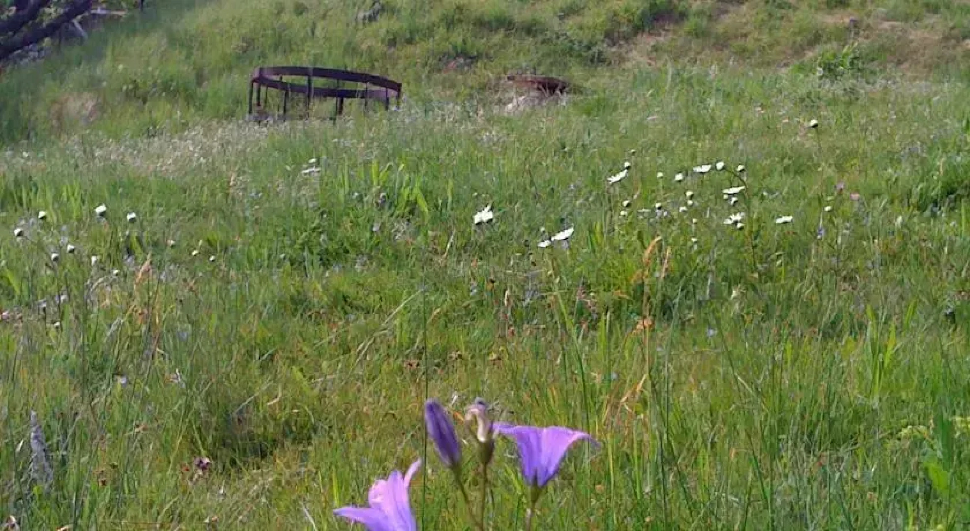 Seminar- und Gruppenhaus Bayern