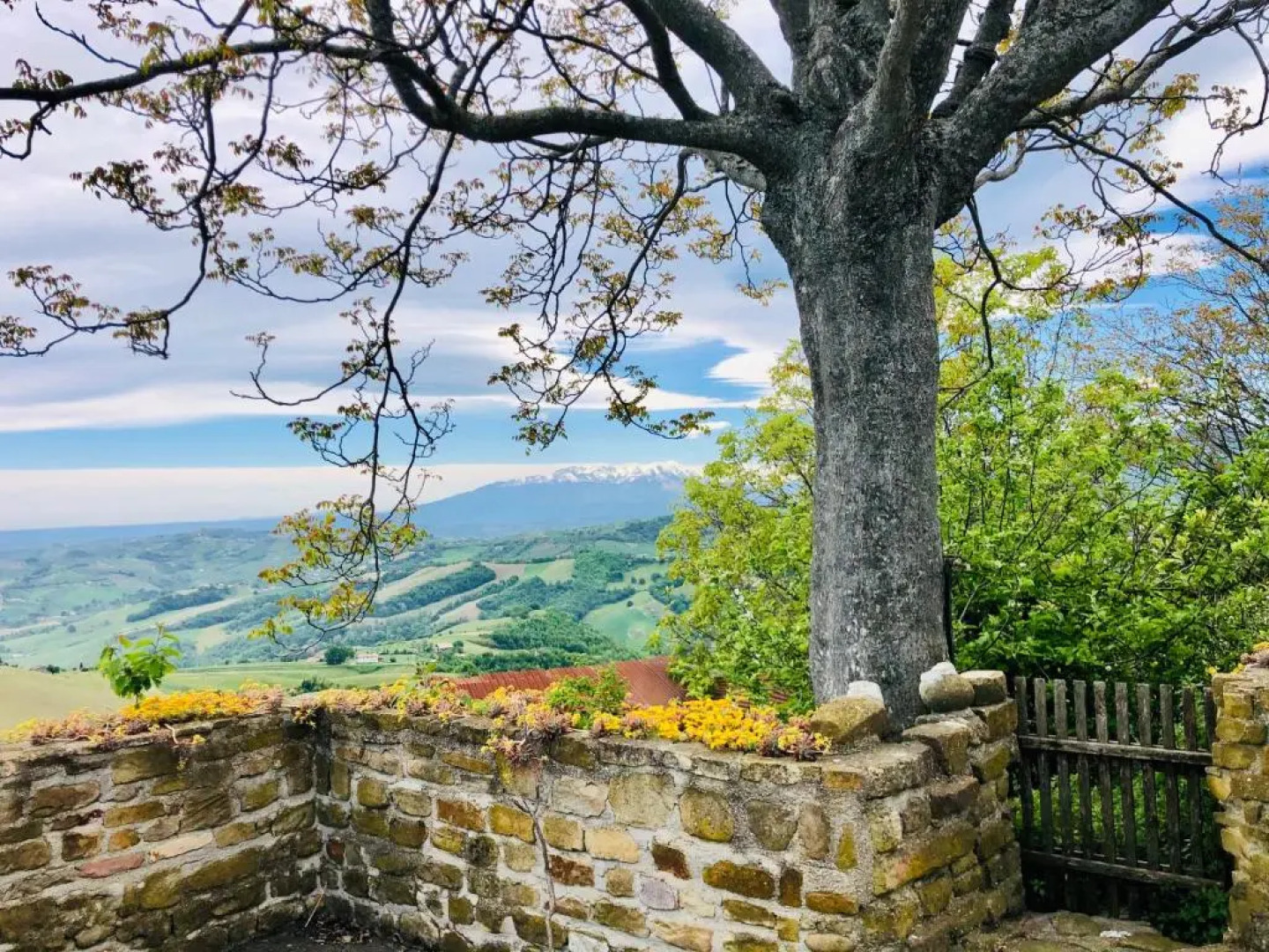 Mini Casale Rustico ColleBello