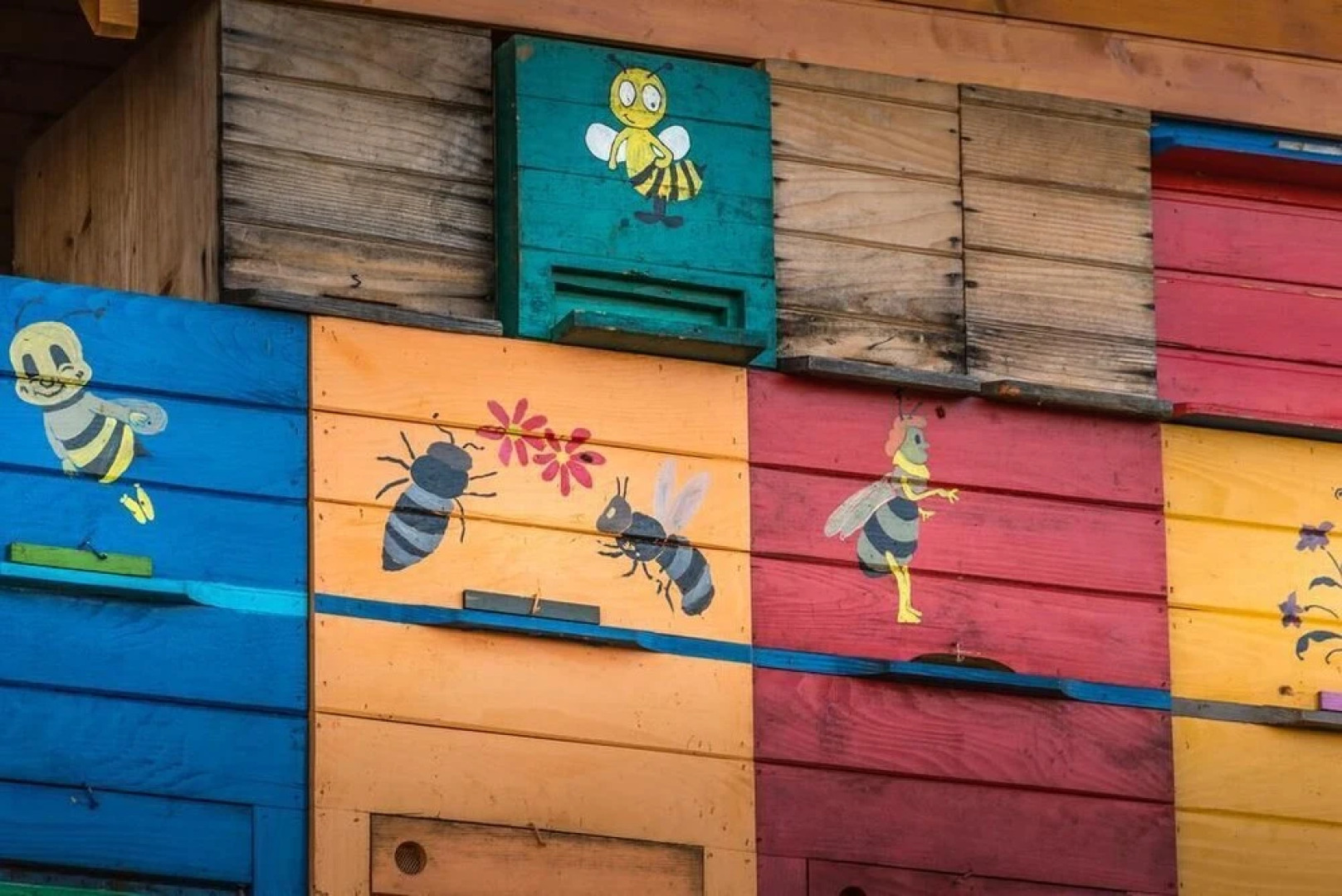 Vineyard Cottage Vina in Medu