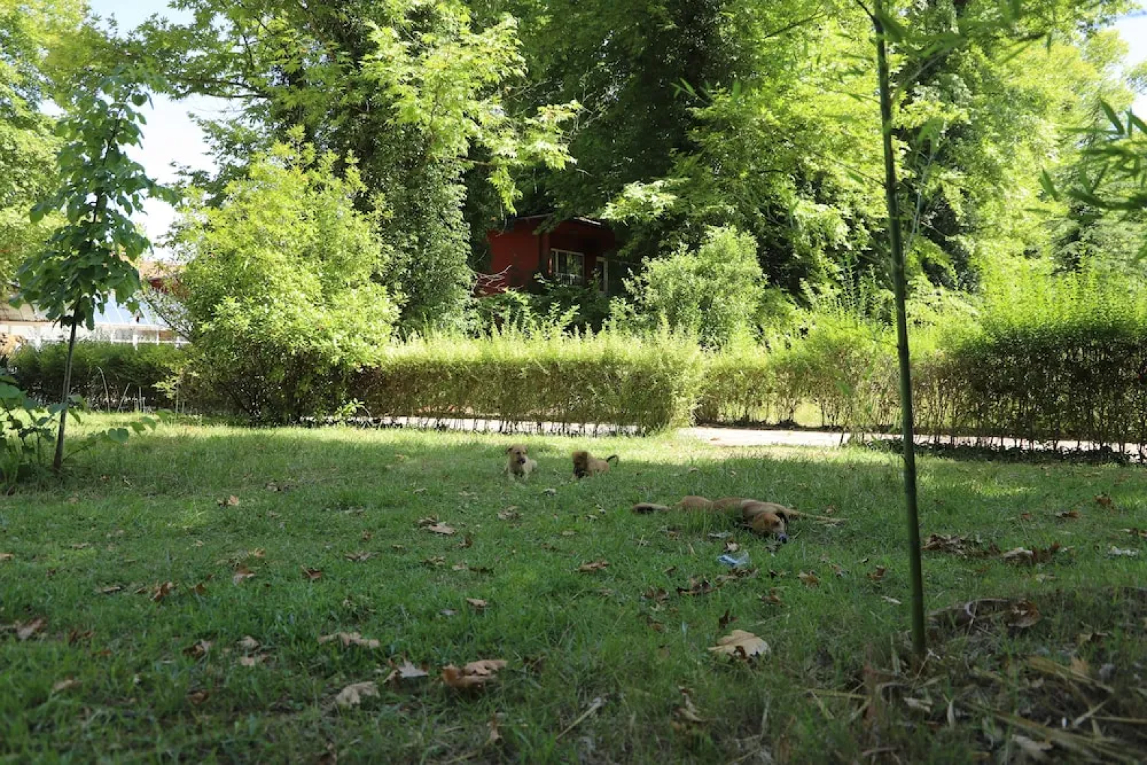Yüzüncü Yıl Ecopark