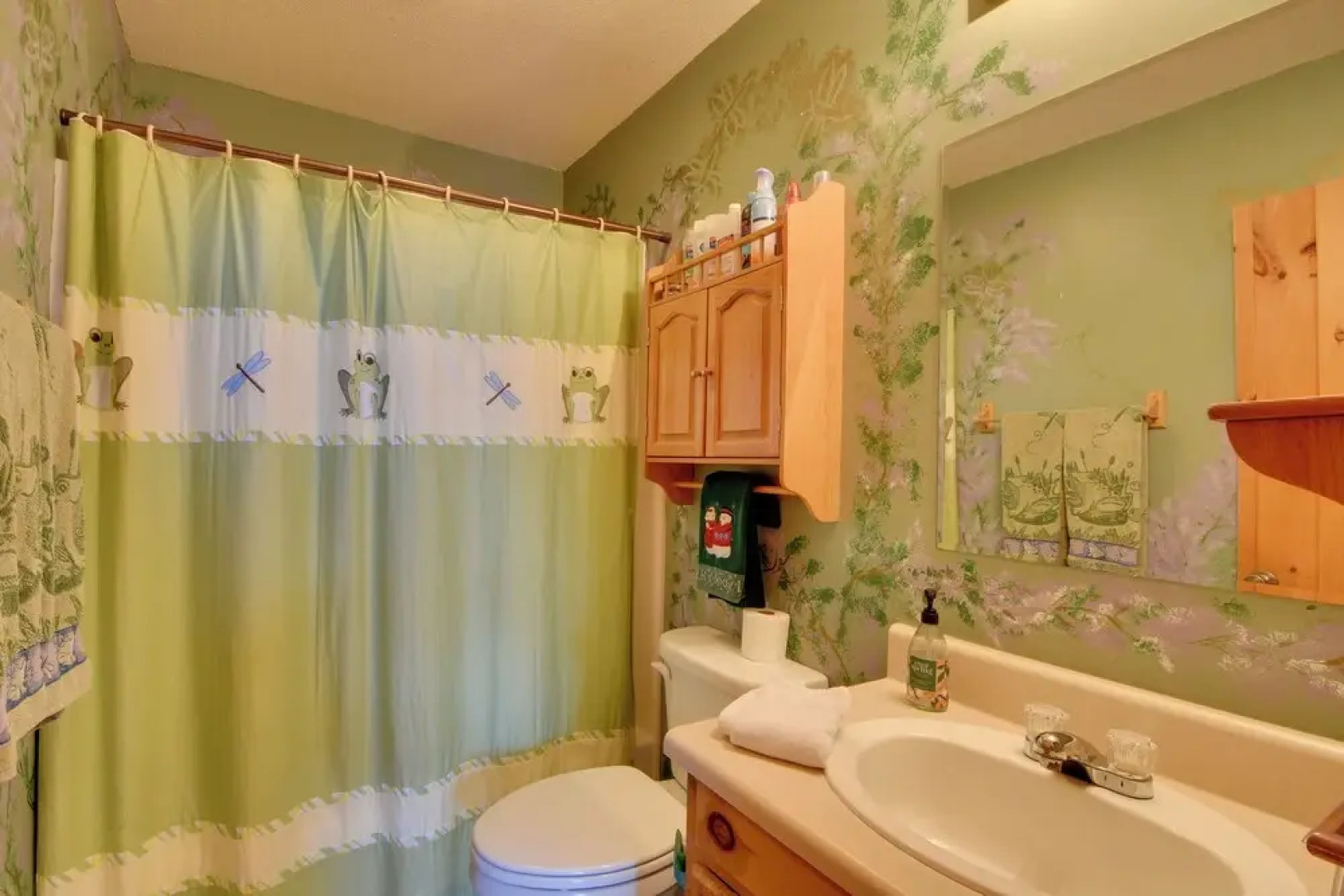 'frog Leap' Hiawassee Cabin w/ Blue Ridge Mtn View