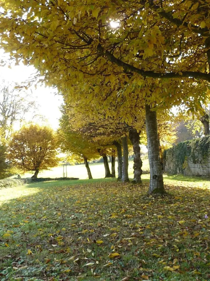 Château de la Hussardière