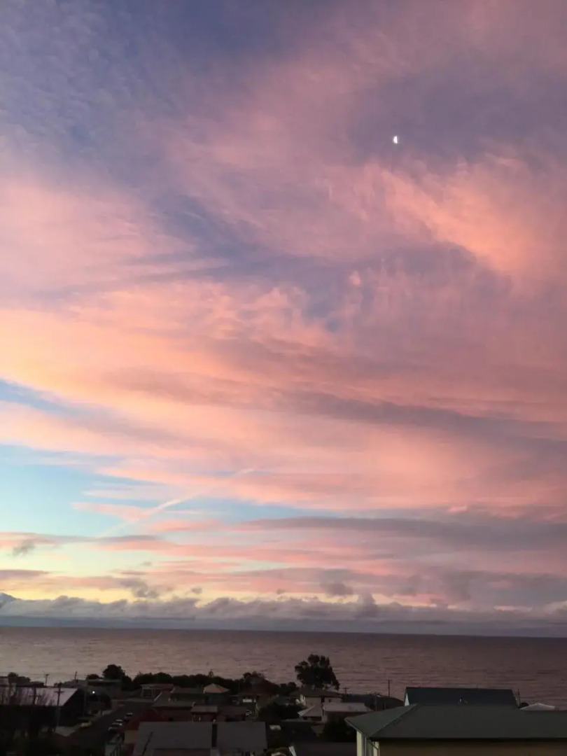 Penguin Seaside Homestay