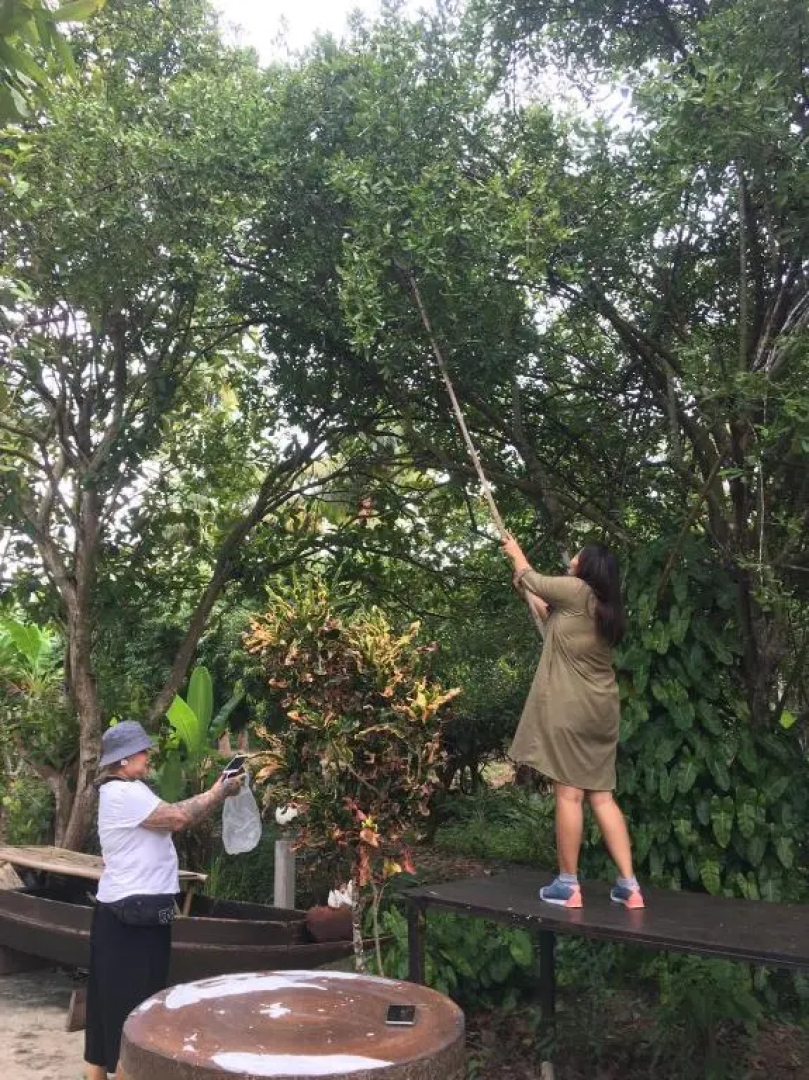 Baan Loylom Farmstay