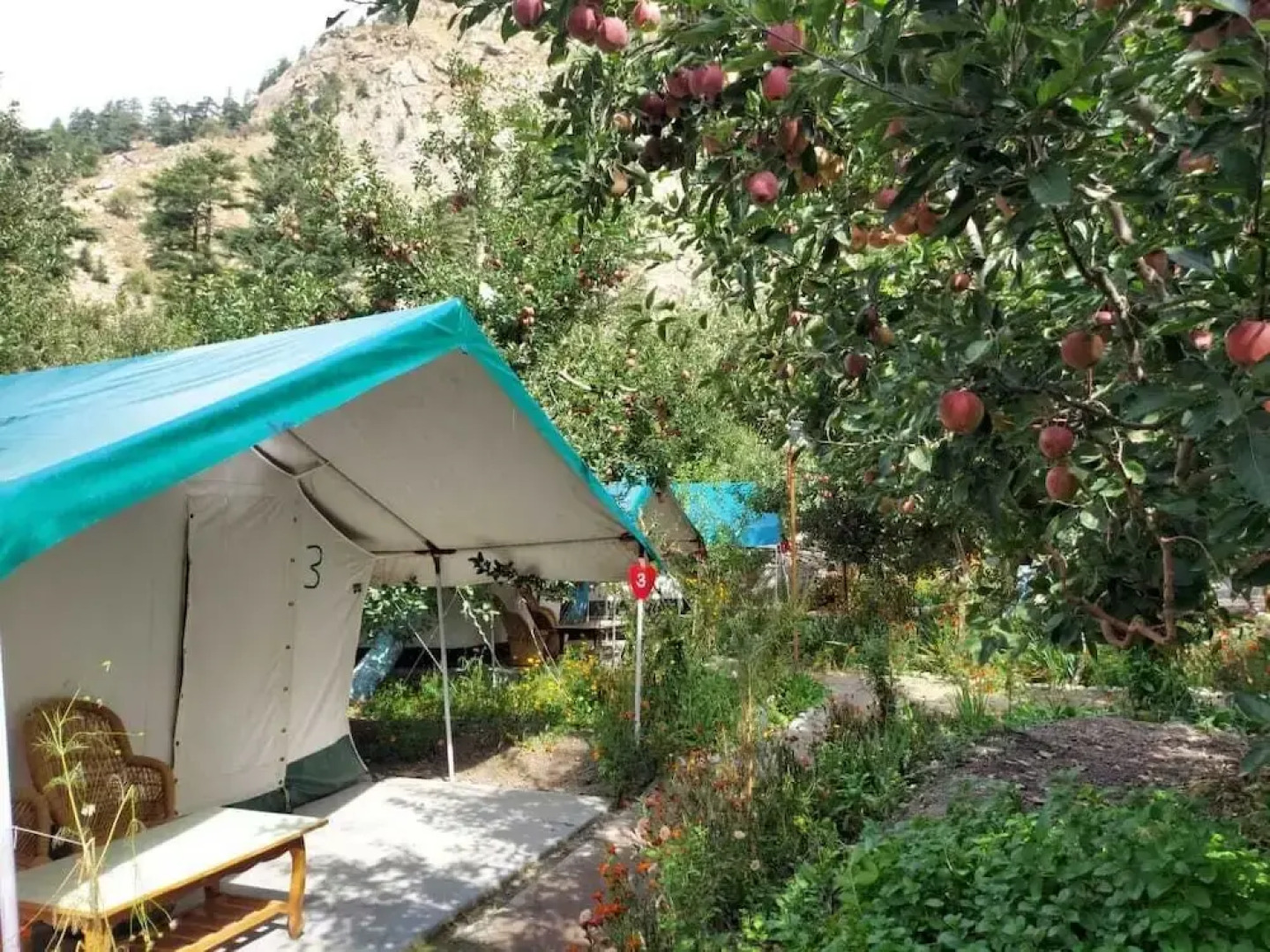 Apple Orchard Farm and Camping