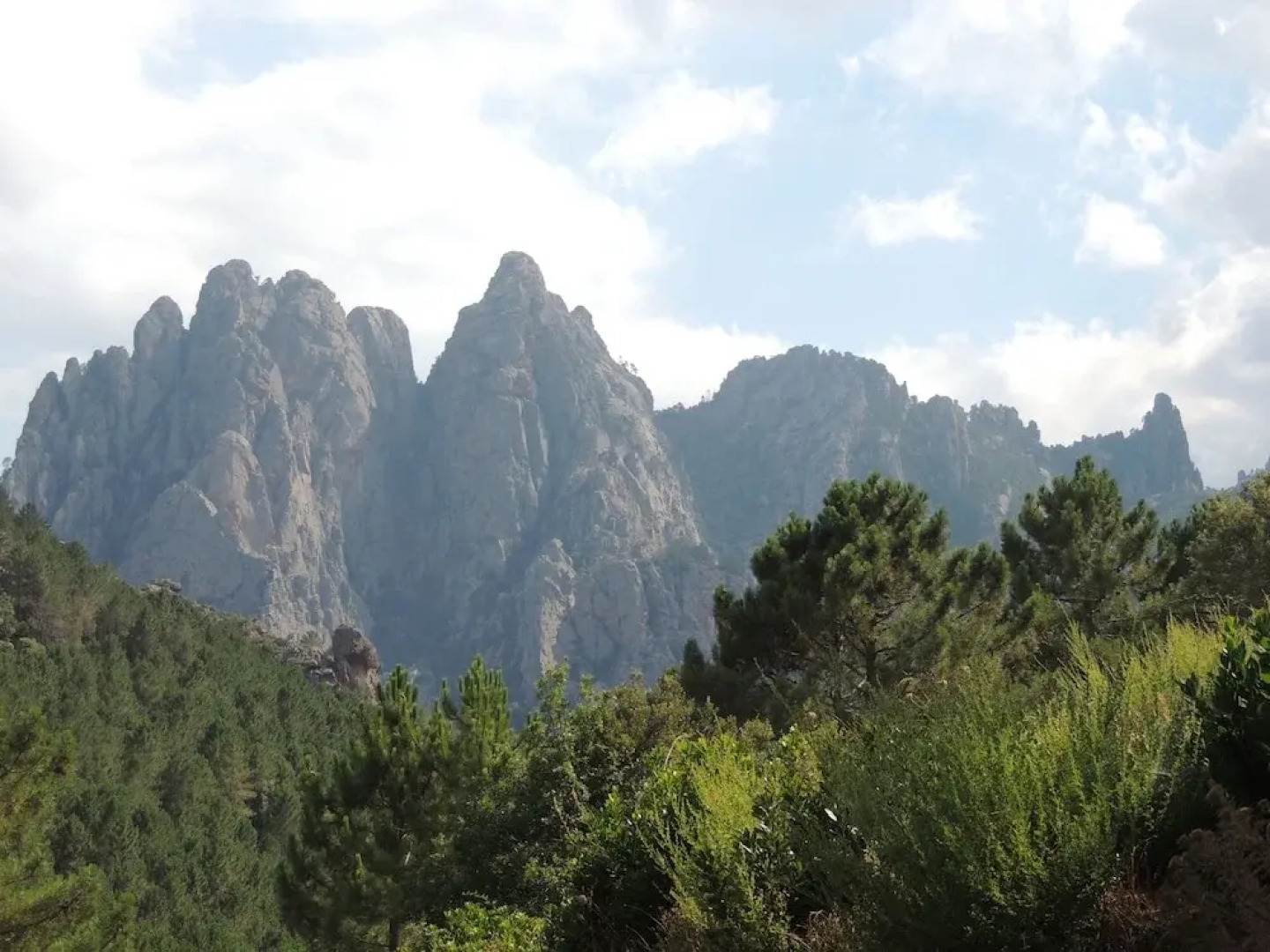 Incarnita Et Jean Claude