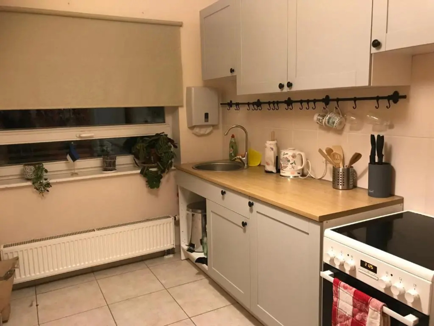 Peaceful Home in the Center of Tartu