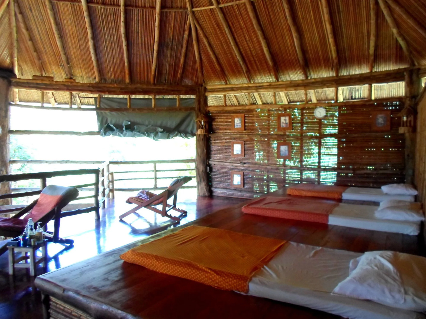 Cliff And River Jungle