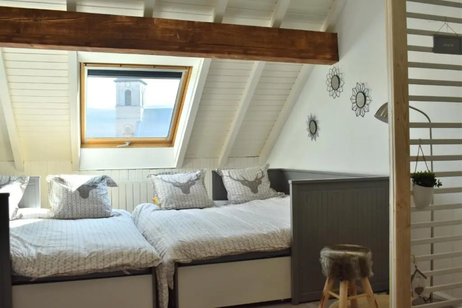 Charmant Studio, Le Petit Gris Des Montagnes