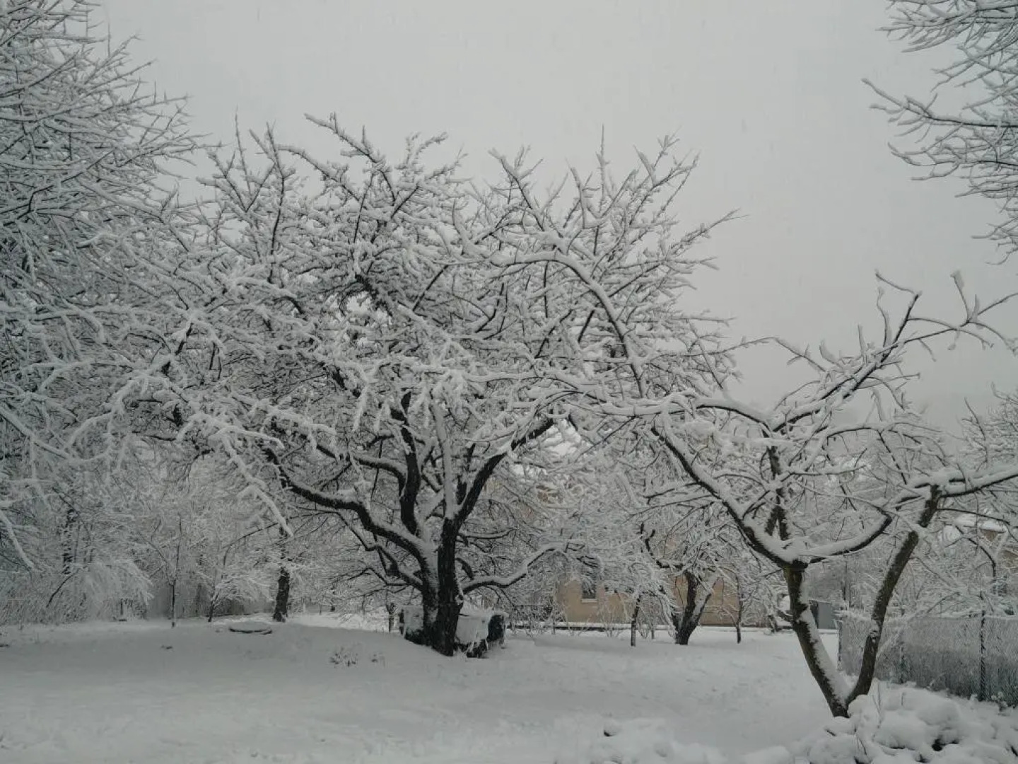 Guest House at Lesya Ukrainka