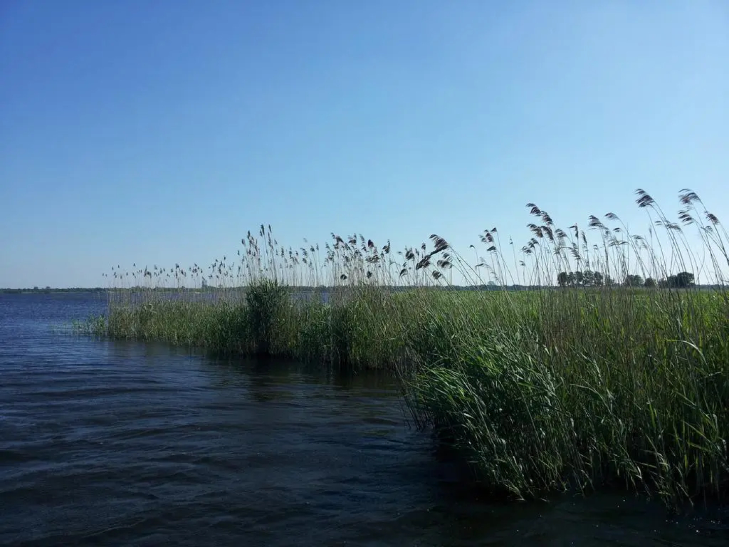Stadslogement De Smederij van Steenwijk
