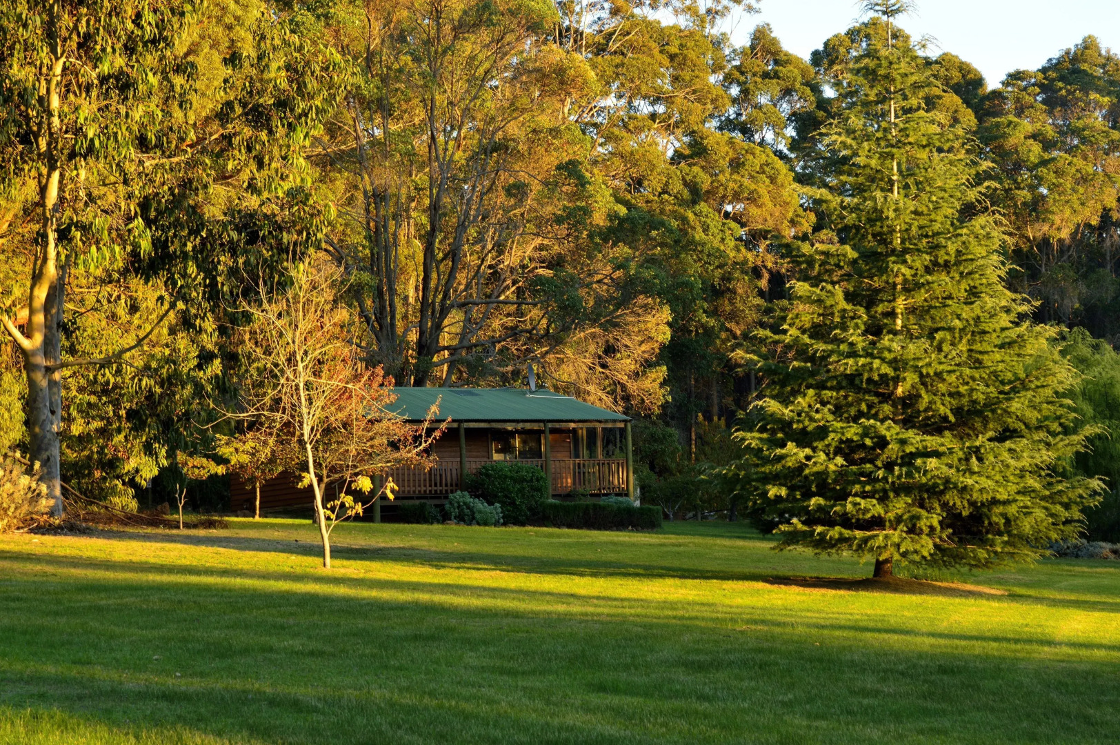 Diamond Forest Farm Stay