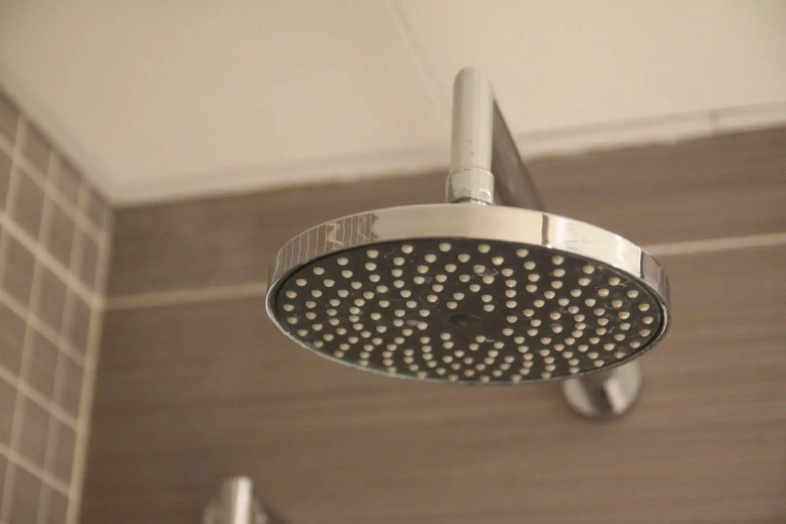 The Ermitage on the Beach