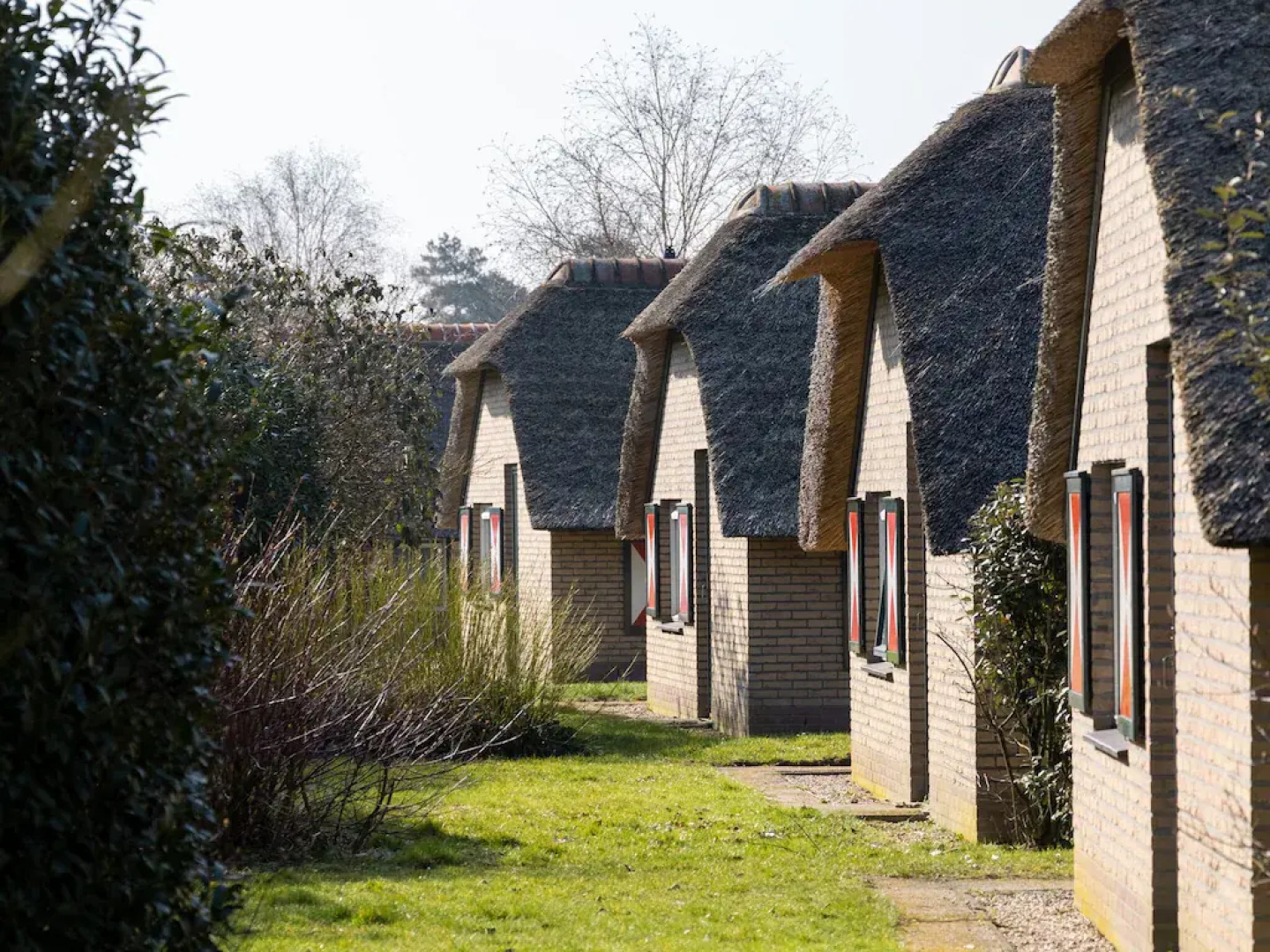 Bungalow in Veluwe Near Harderwijk
